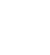 Vector
