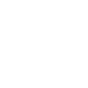 lotus 1